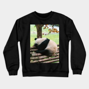 Sleeping Panda Crewneck Sweatshirt